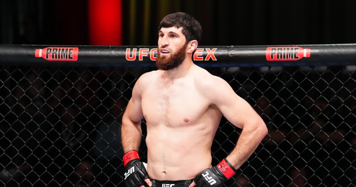 Магомед Анкалаев может подраться с Иржи Прохазкой: UFC все решил